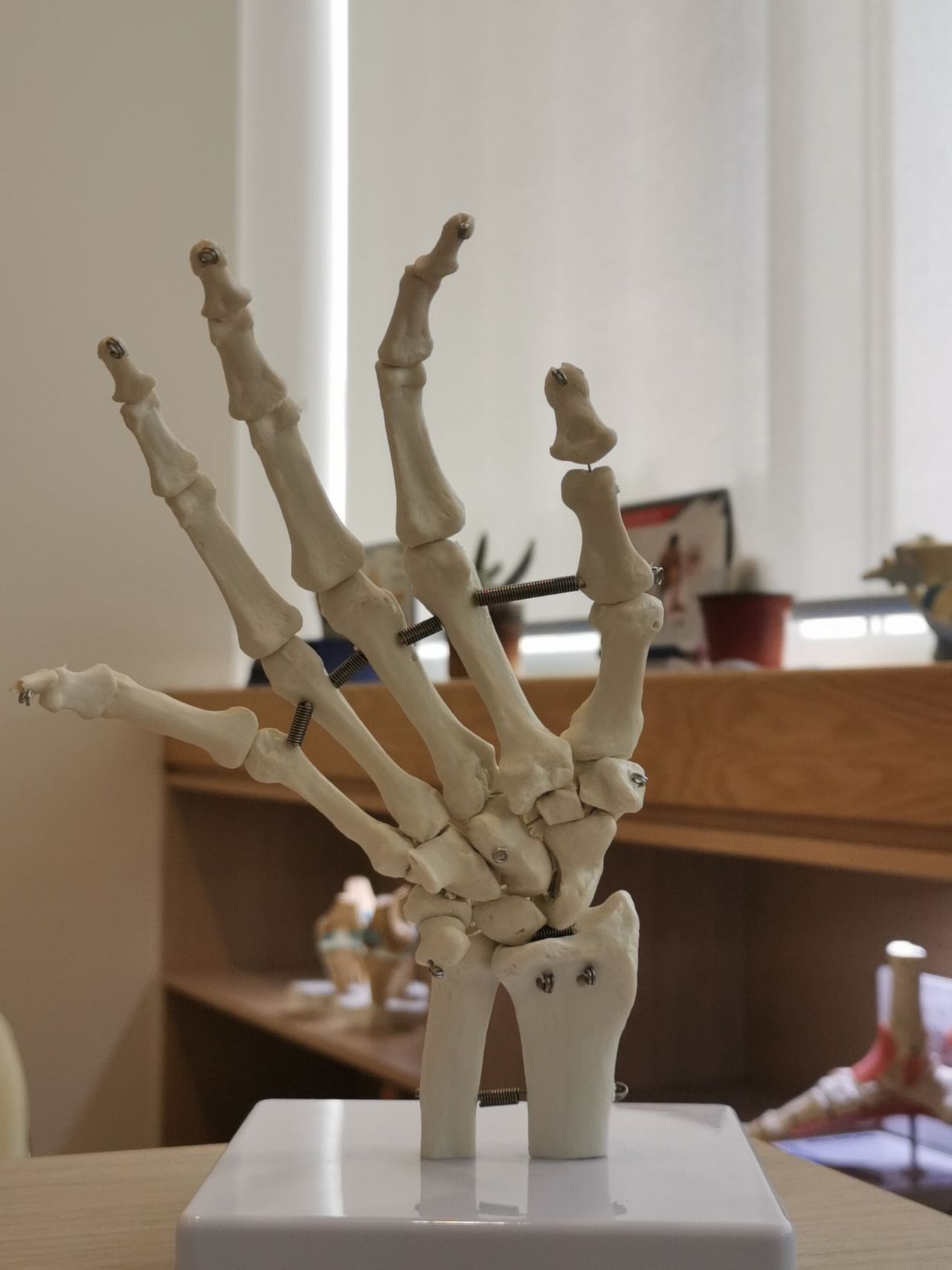 Sergio Torrecillas Serna-35