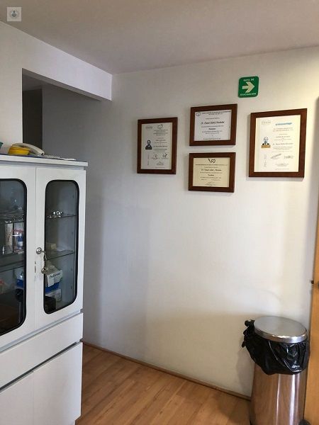 Daniel Saltiel Mechulan-12