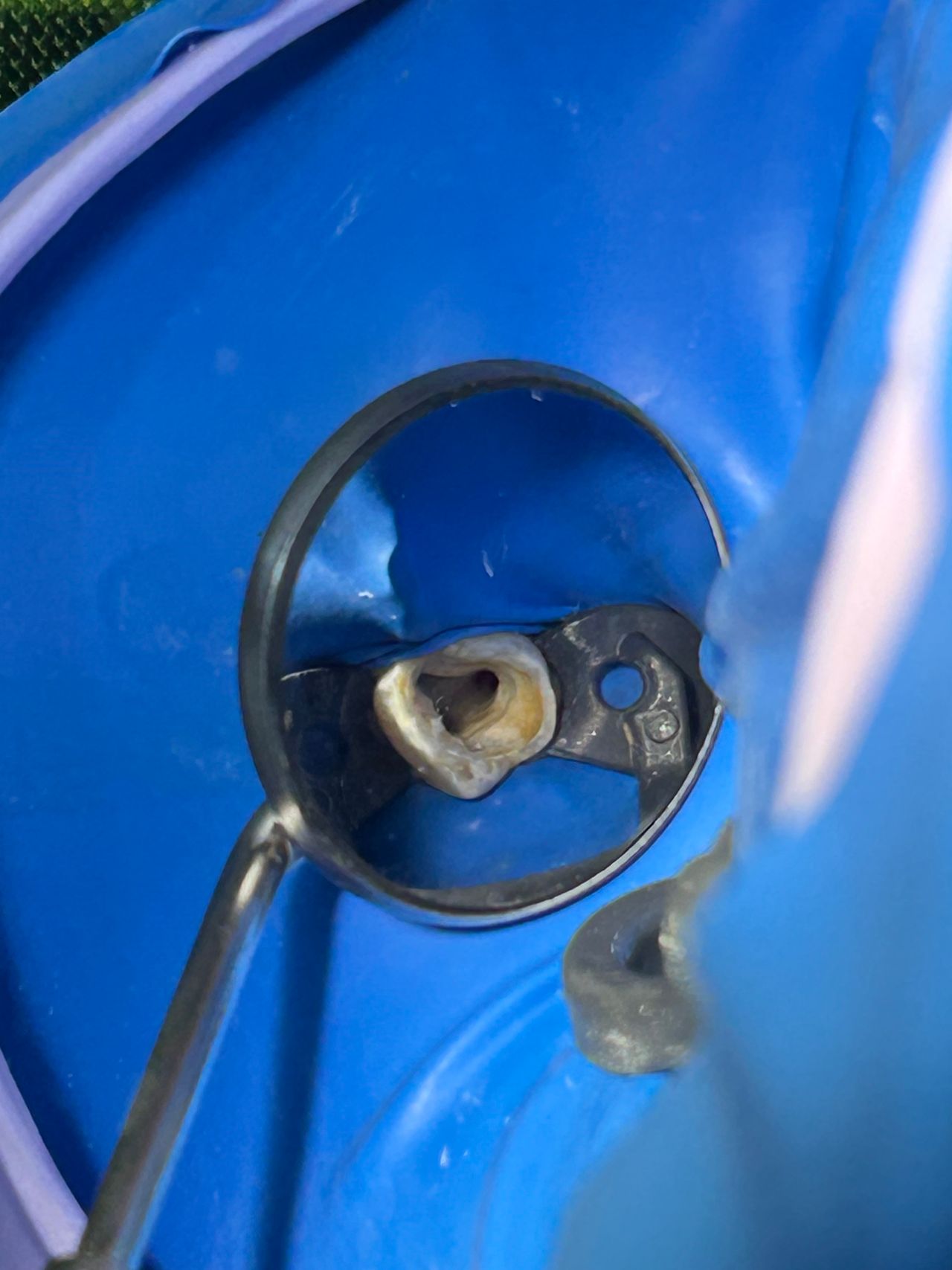 Sandra Carolina Cigala Martínez-3