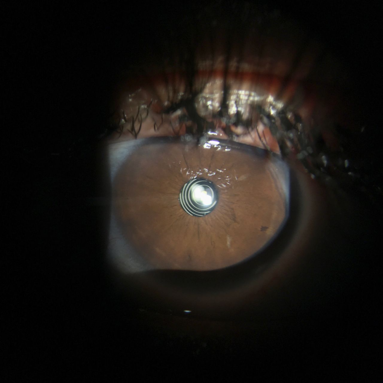 Miguel Angel Ibañez Hernandez-23