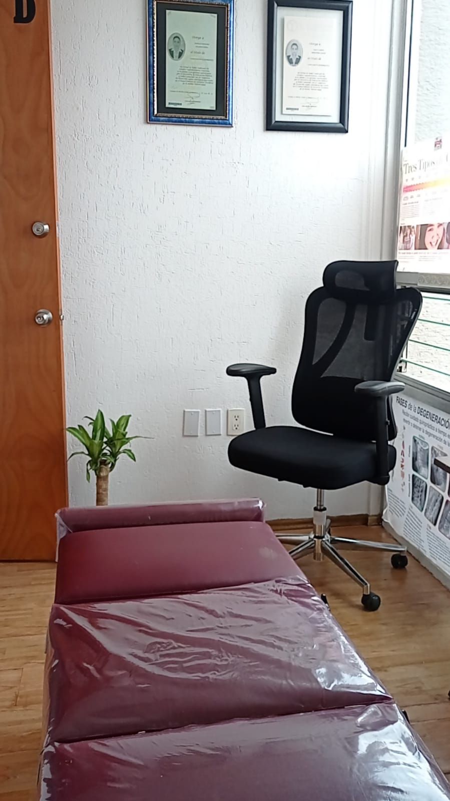 Lesly Lizbeth Hernández Gaona-2