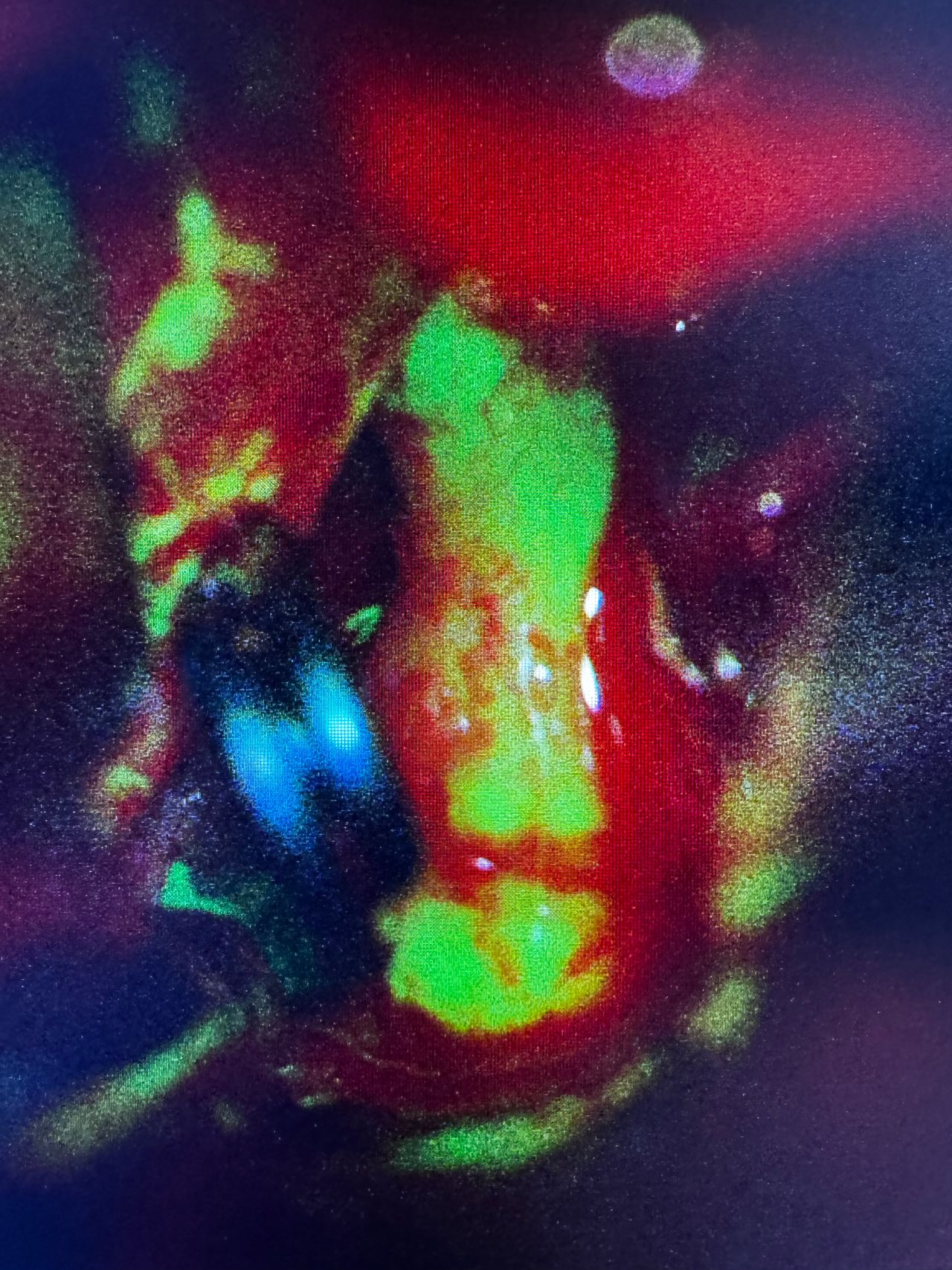 Alejandro Serrano Rubio-5