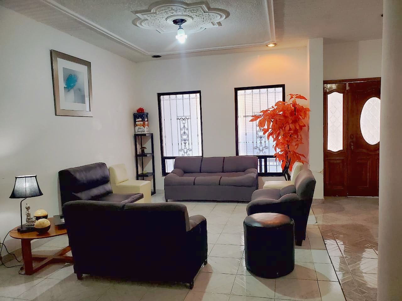 José Antonio Rodríguez Torres-6