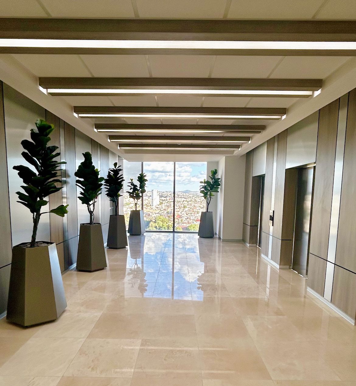 Carlos Damián Palafox Vidal-4