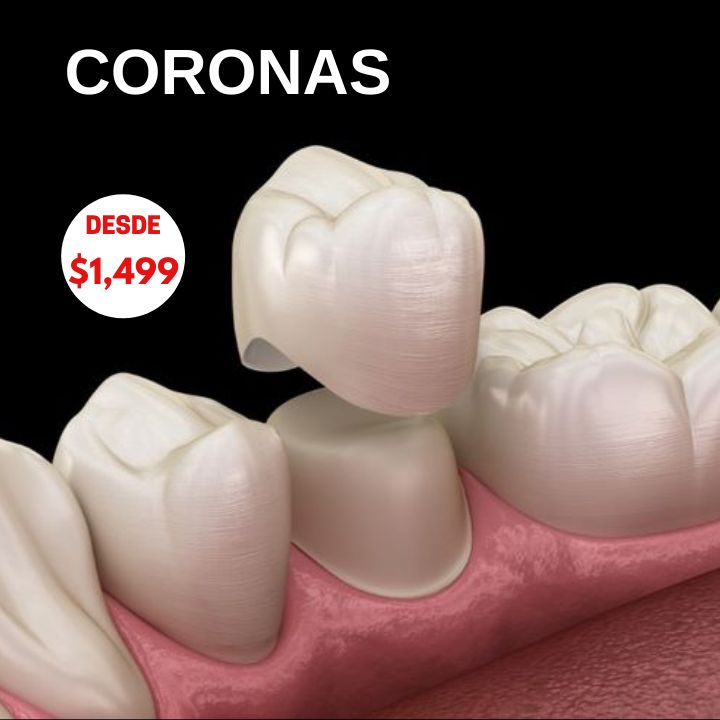 Jorge Benjamin Amezcua Ramos-27