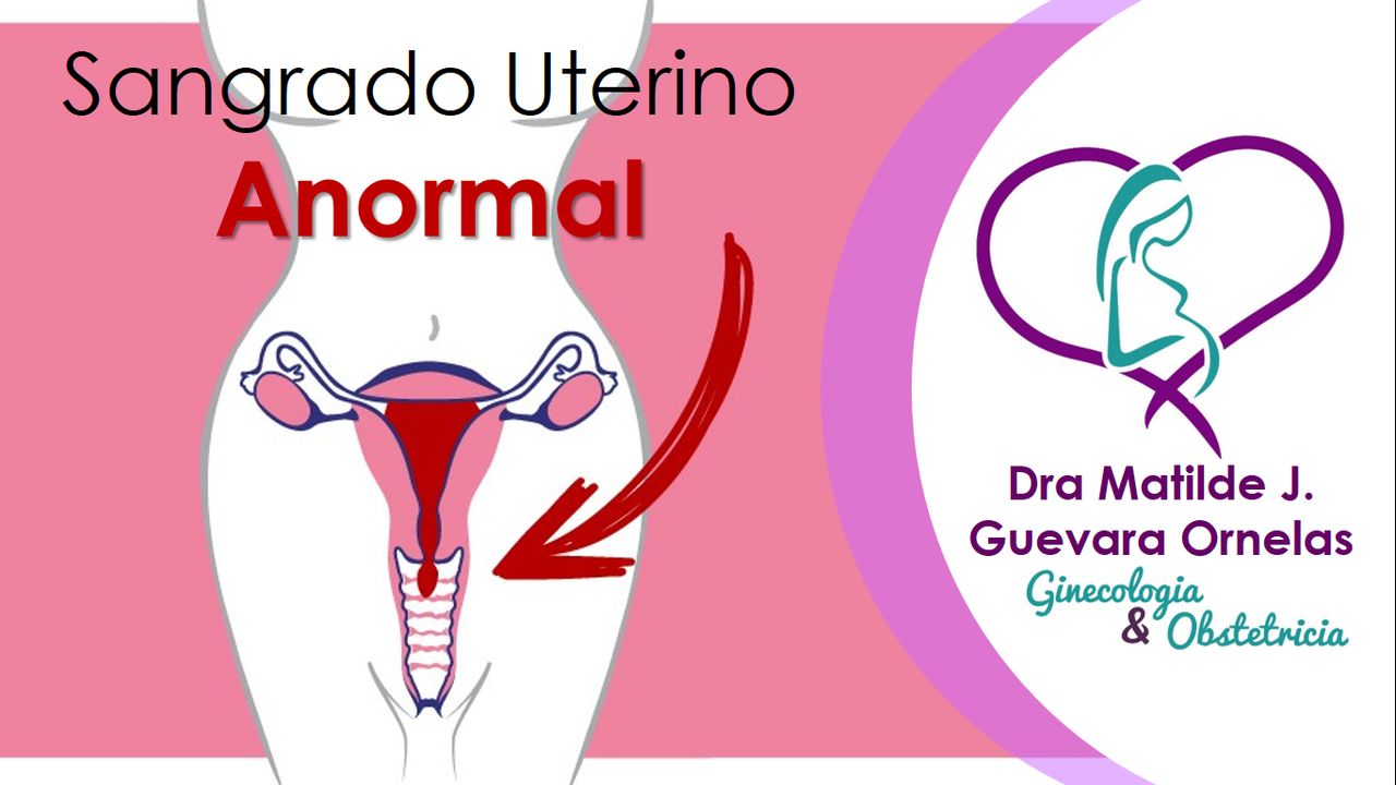 Matilde José Guevara Ornelas-9