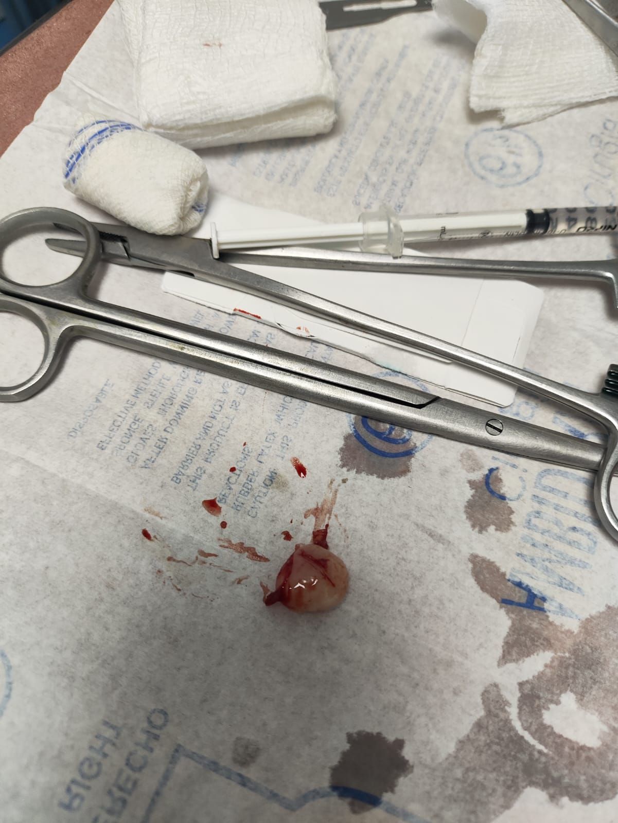 Jacqueline Hernandez Gonzalez-11