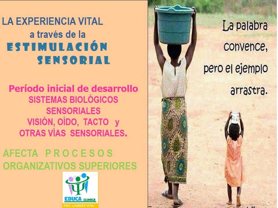 Maria De Lourdes Vital Martin-29