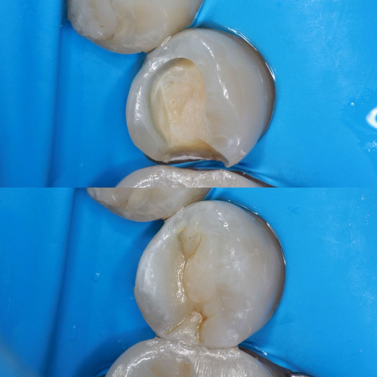 Sofía Ríos Villavicencio-27