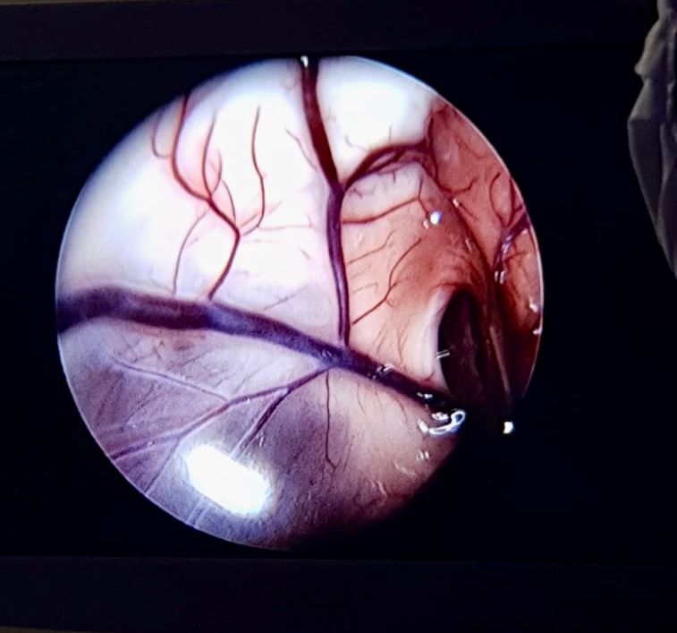 Gustavo De Jesús Parra Romero-20