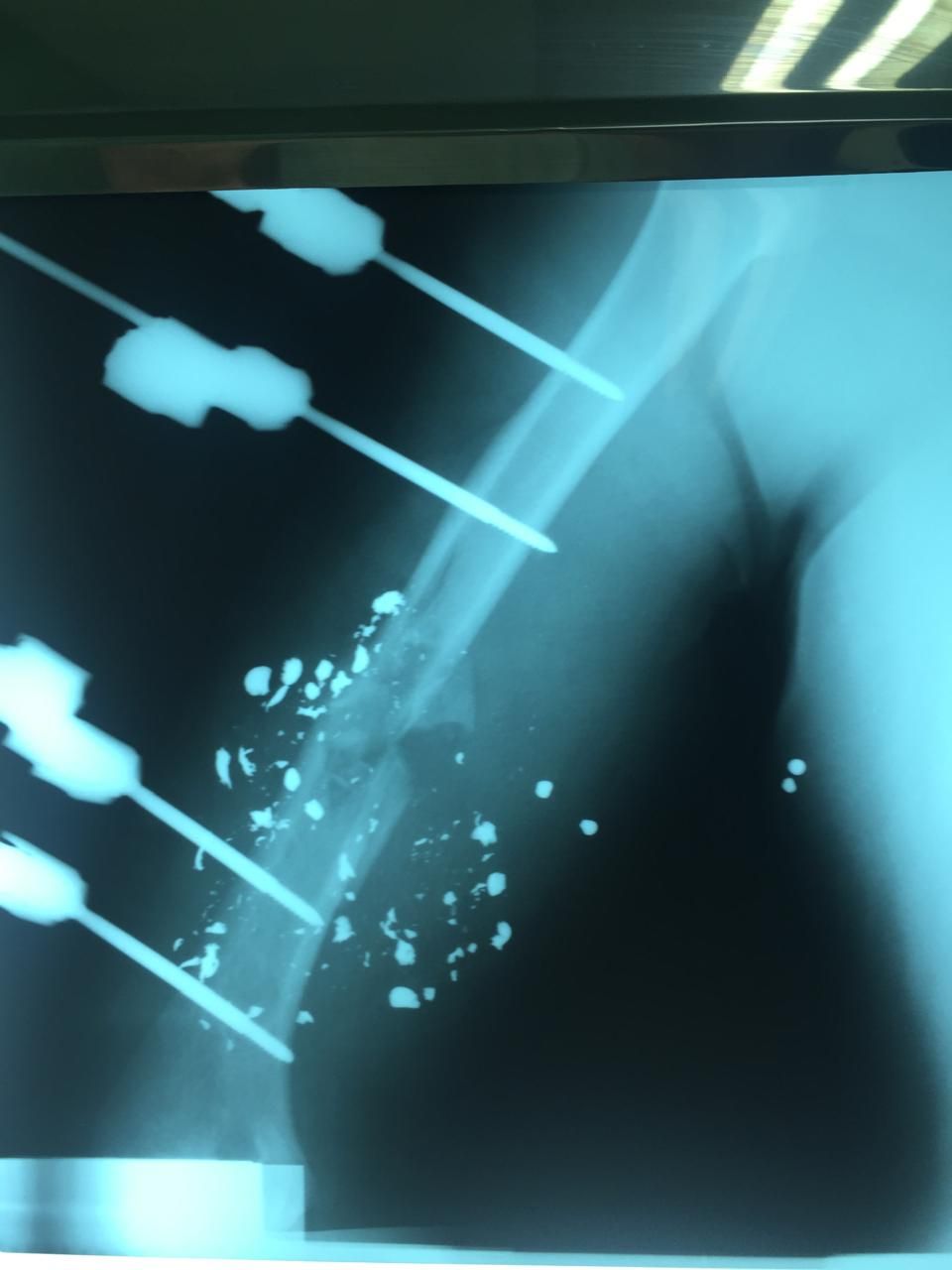 Jorge Enrique Verduzco Nuñez-3