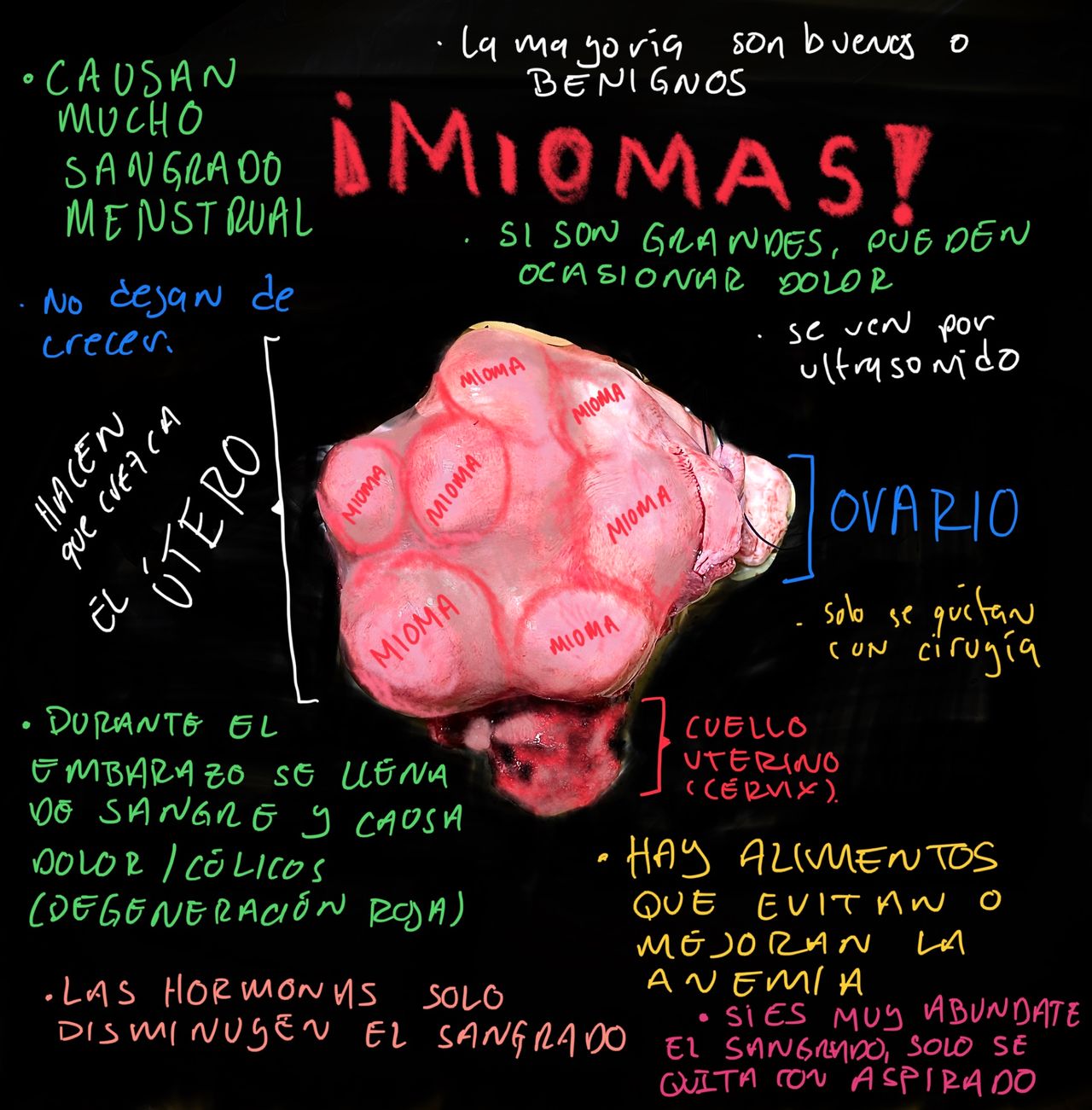 Emmanuel Humberto Alegría Peralta-35