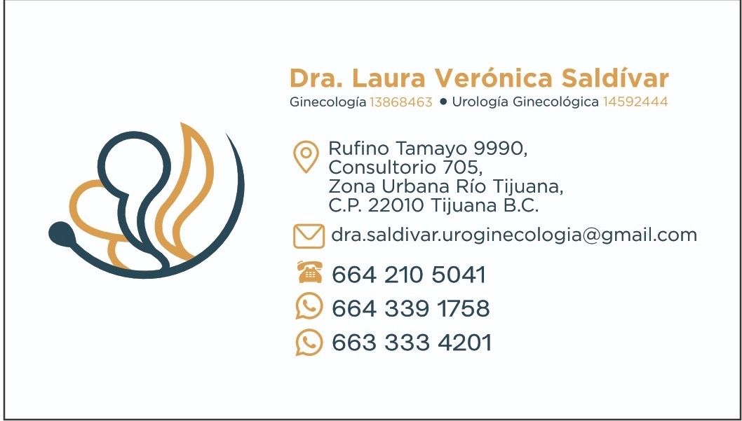 Laura V. Saldívar-1