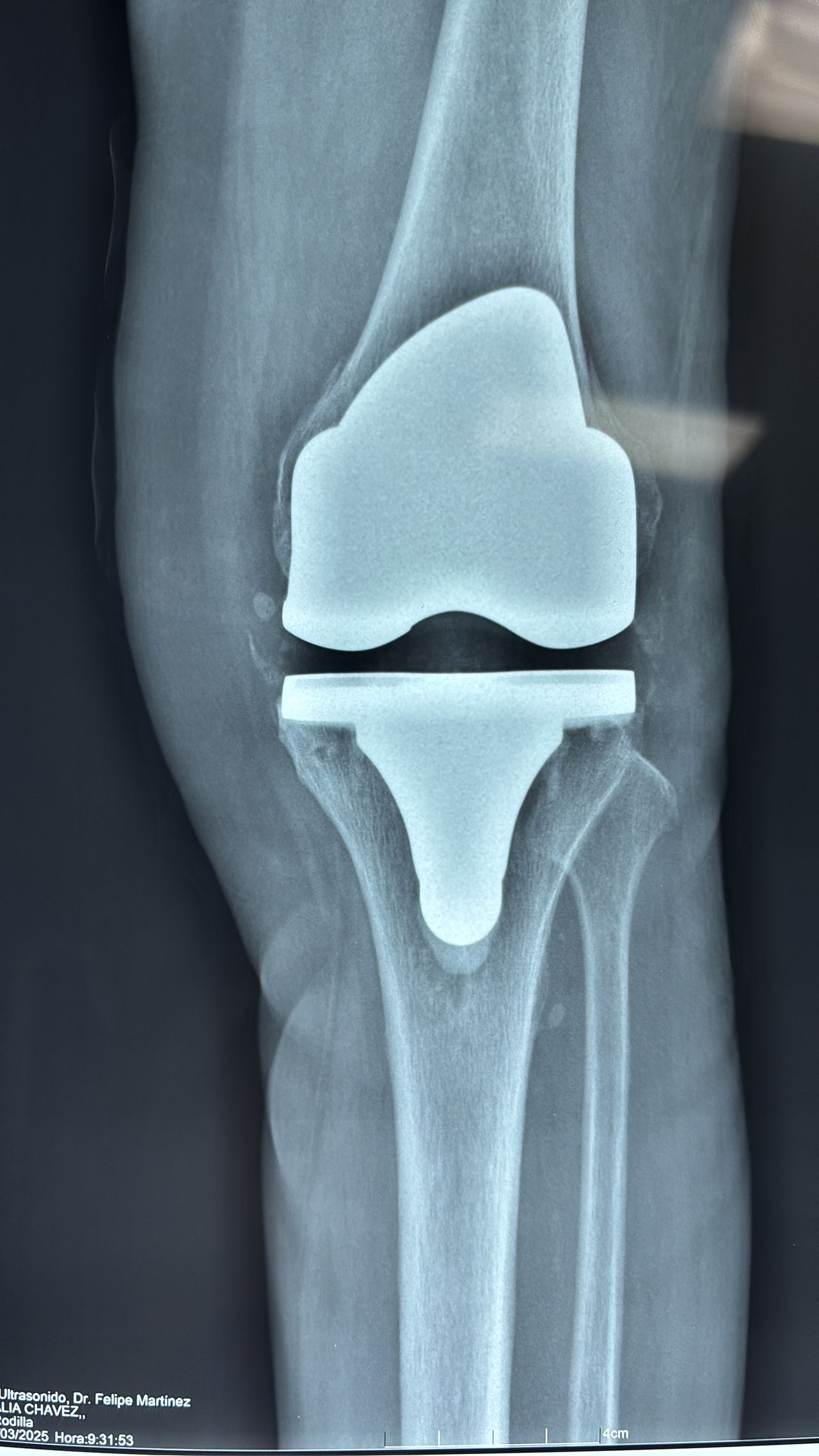 Jesus Manuel Gonzalez-10