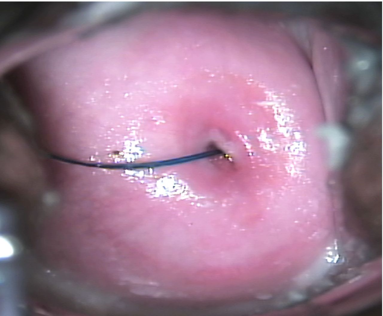 Mario López Franco-0