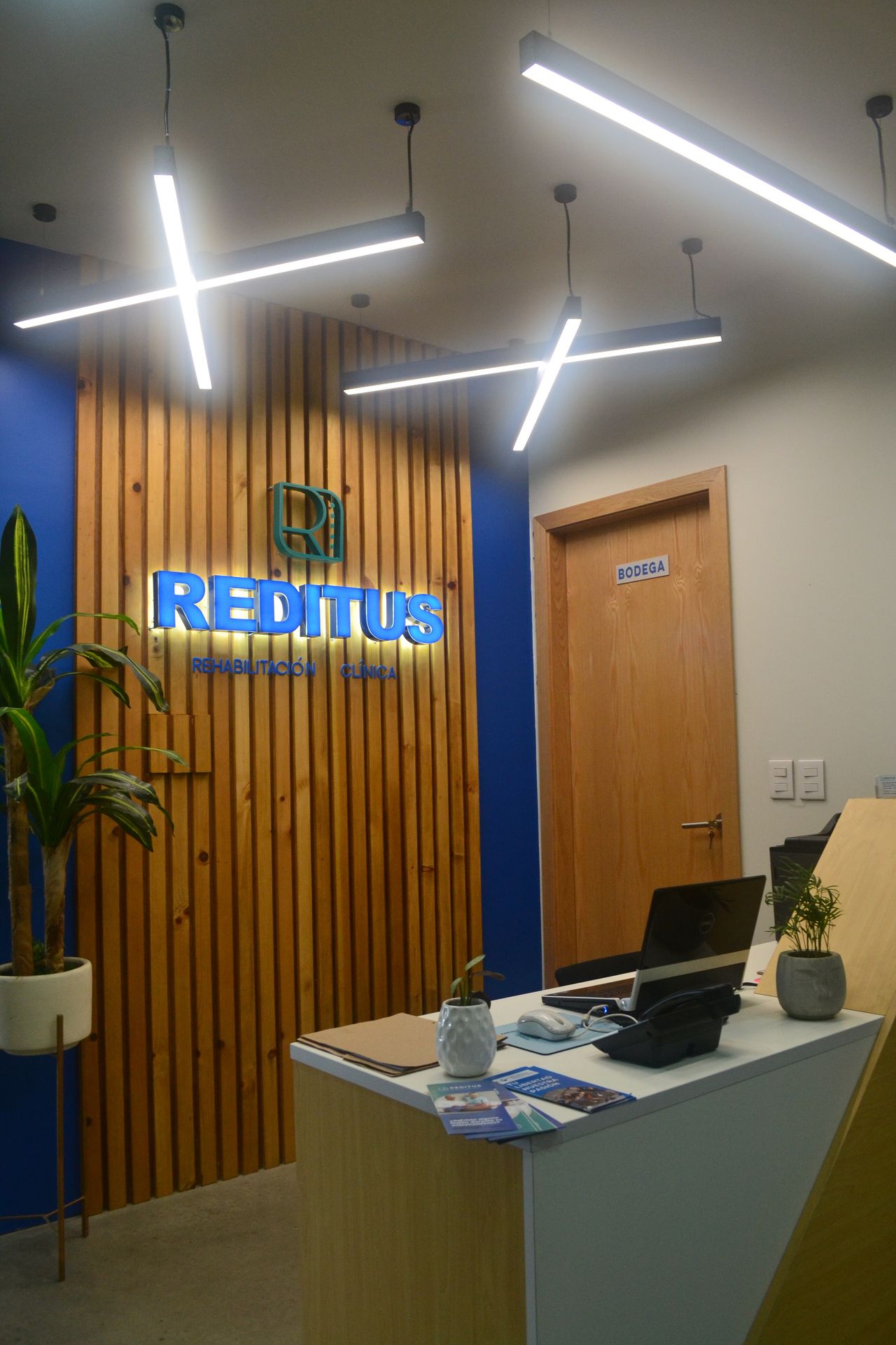 Ivette Ortiz Pintor-1