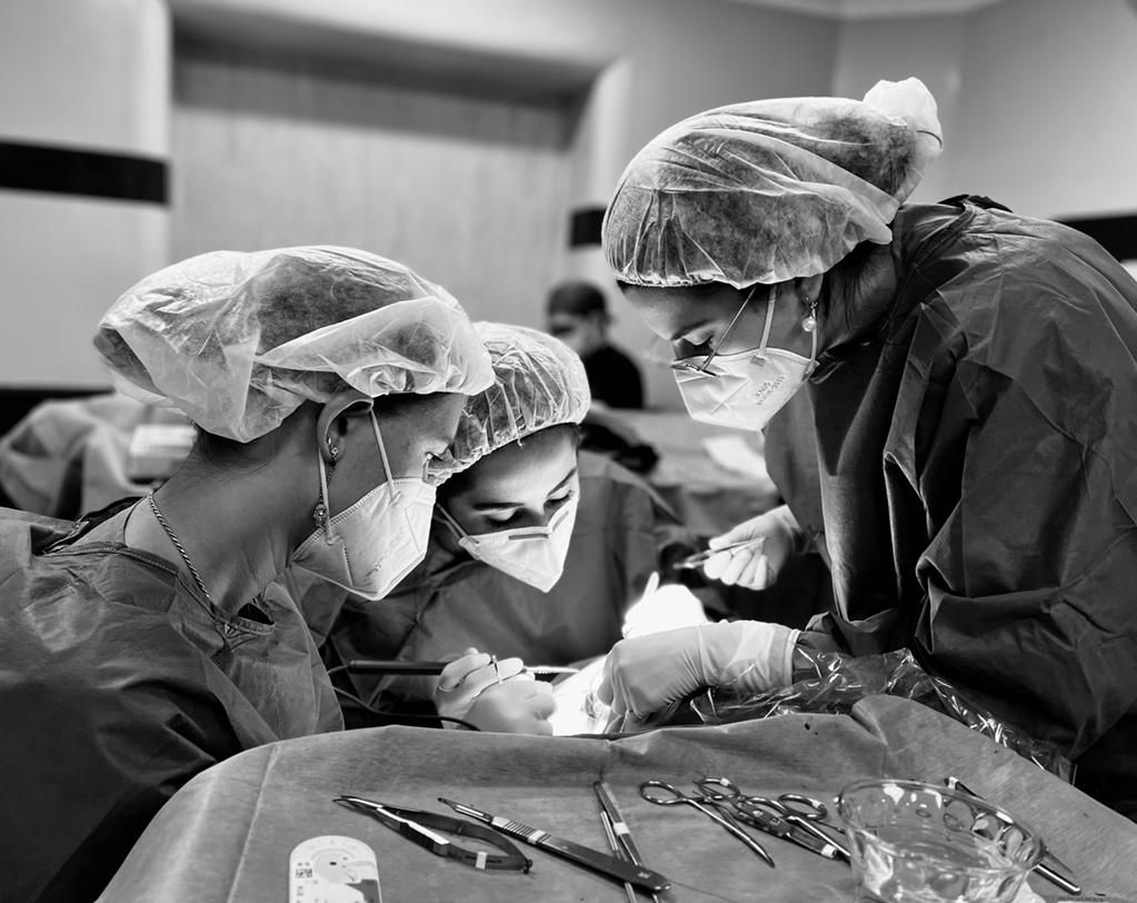 Briscia Plata Gutiérrez-10