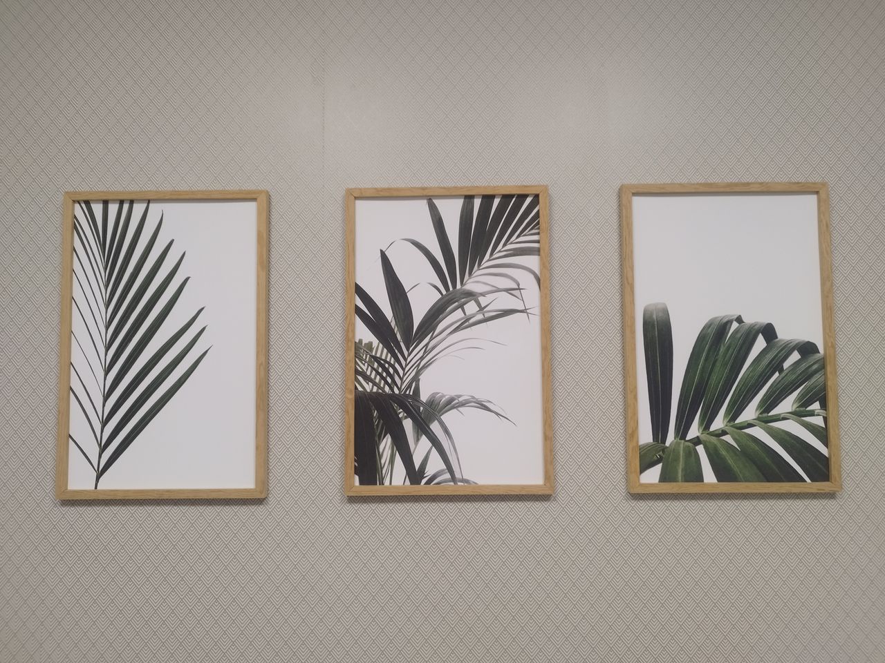 Arturo Benítez Serrato-3