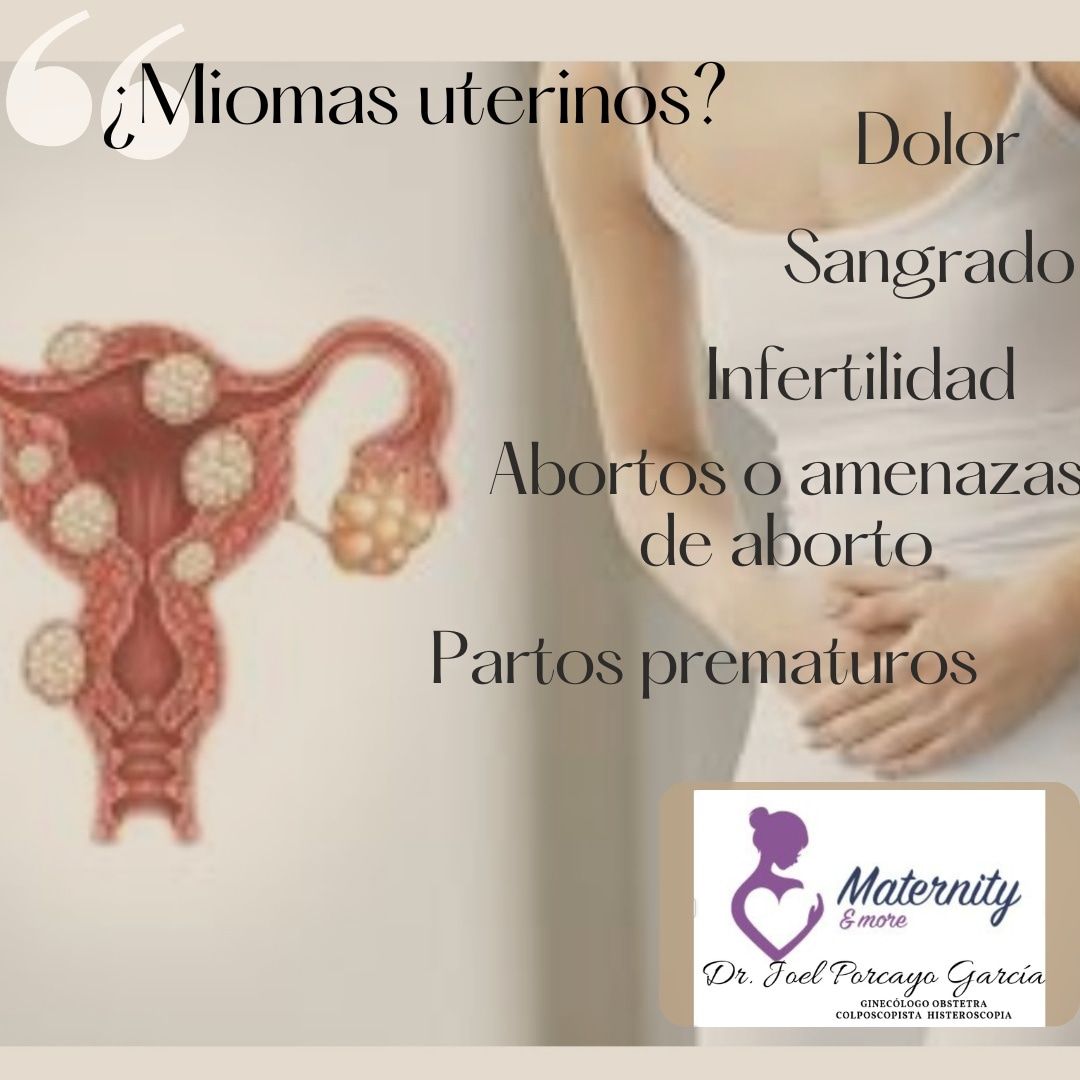 Joel Porcayo Garcia-5