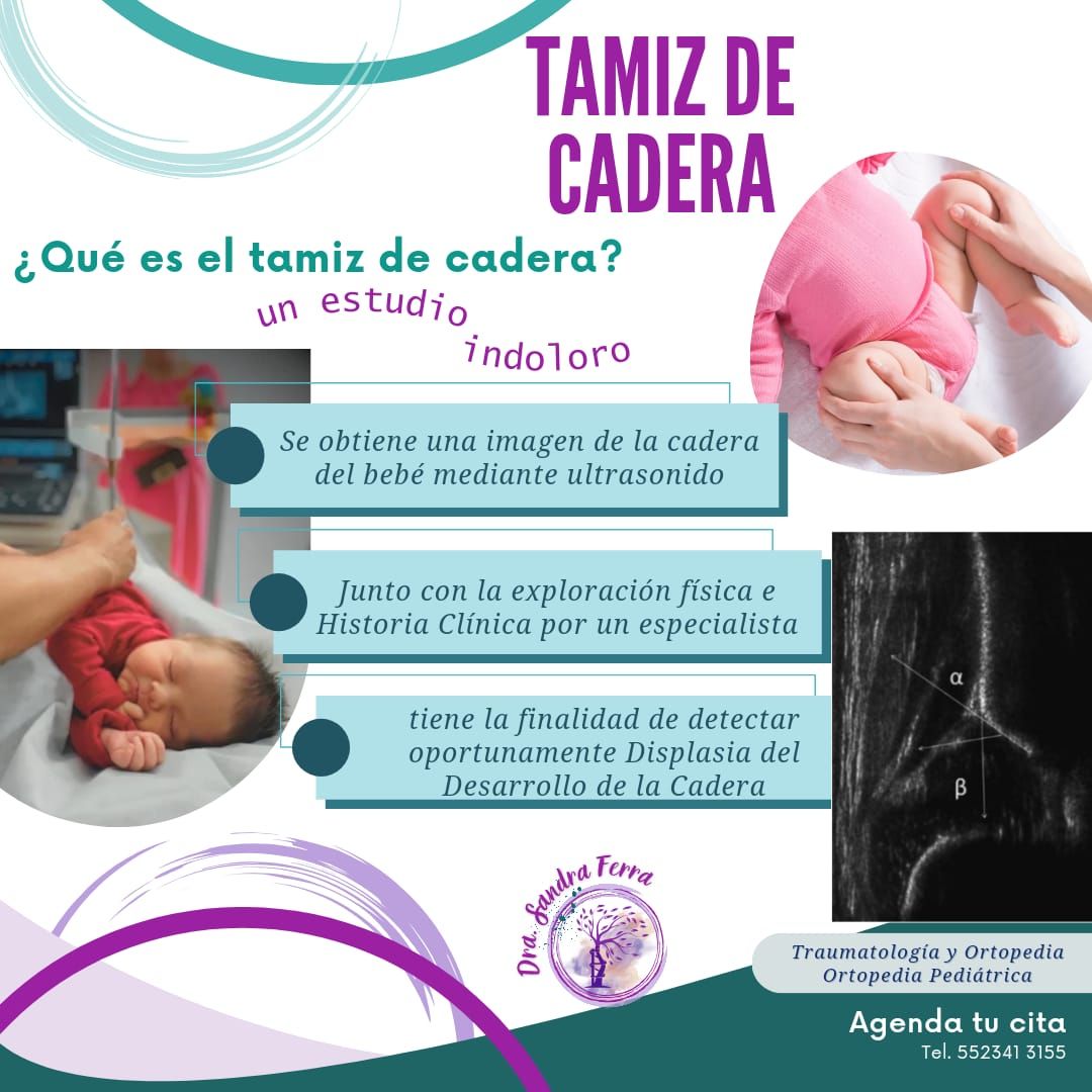 Sandra Ferra Martinez-2