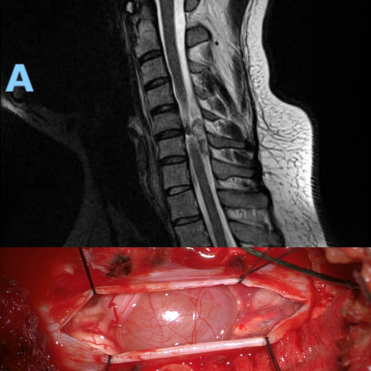 Celia Teresa De Jesús Álvarez Gamiño-45