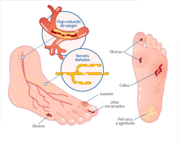 Bárbara Hilaria Padrón Novales-4
