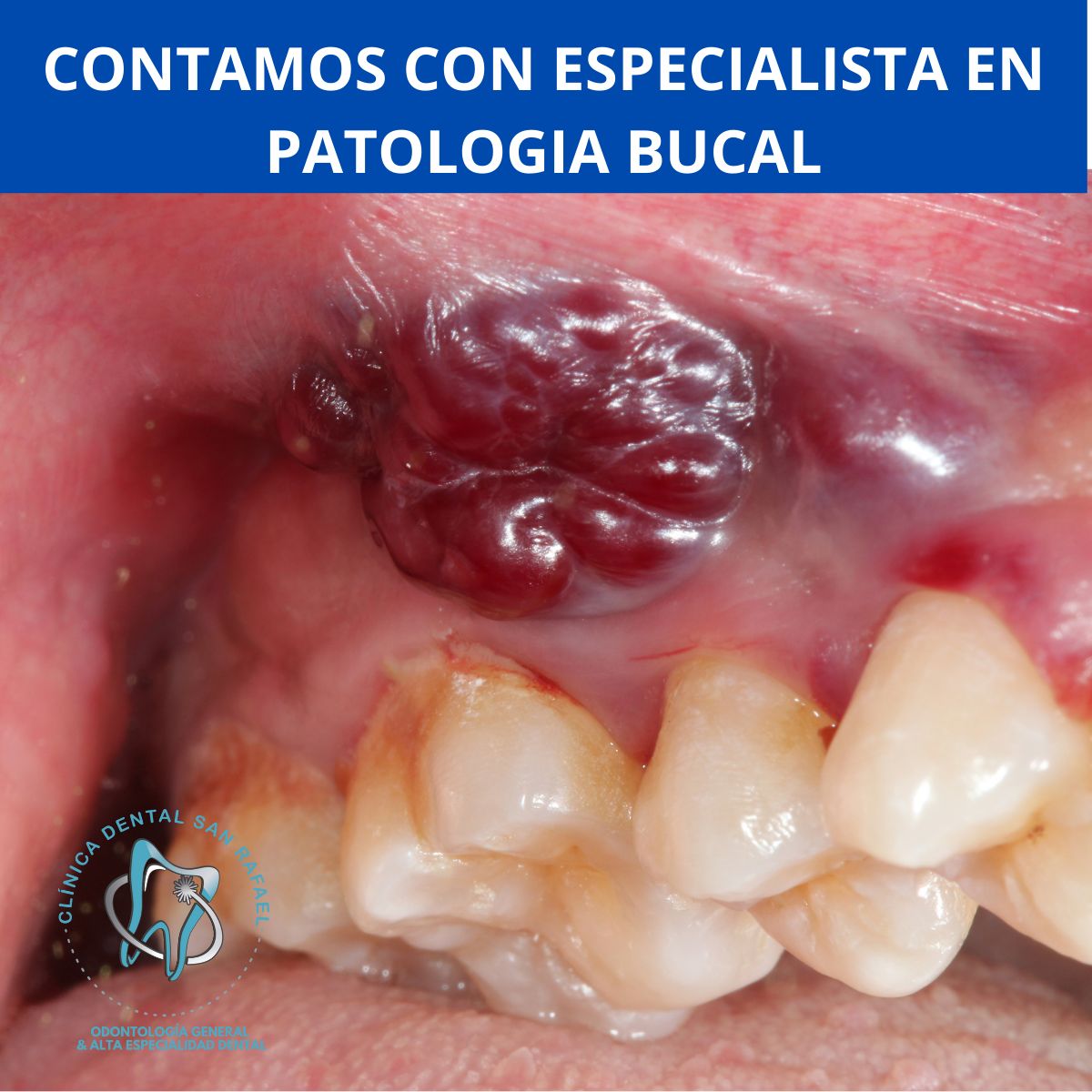 Ricardo Javier Badillo Lopez-10