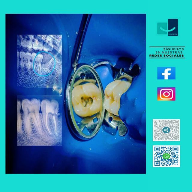 Laura Olivia Solís Ávila-41