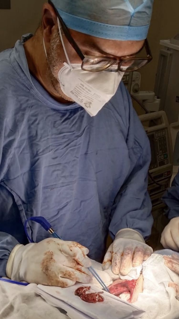 Samuel Irisson Mora-3