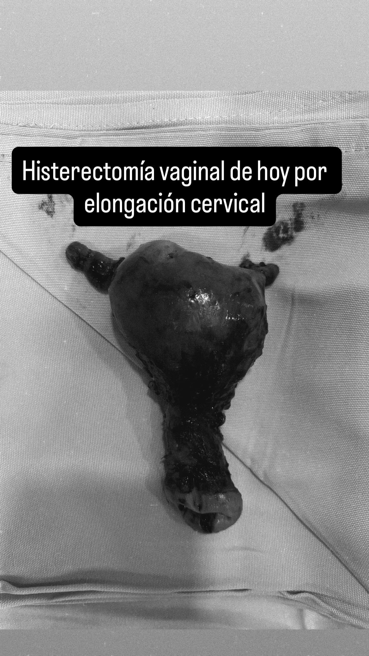 Ricardo Martinez Alaniz-1