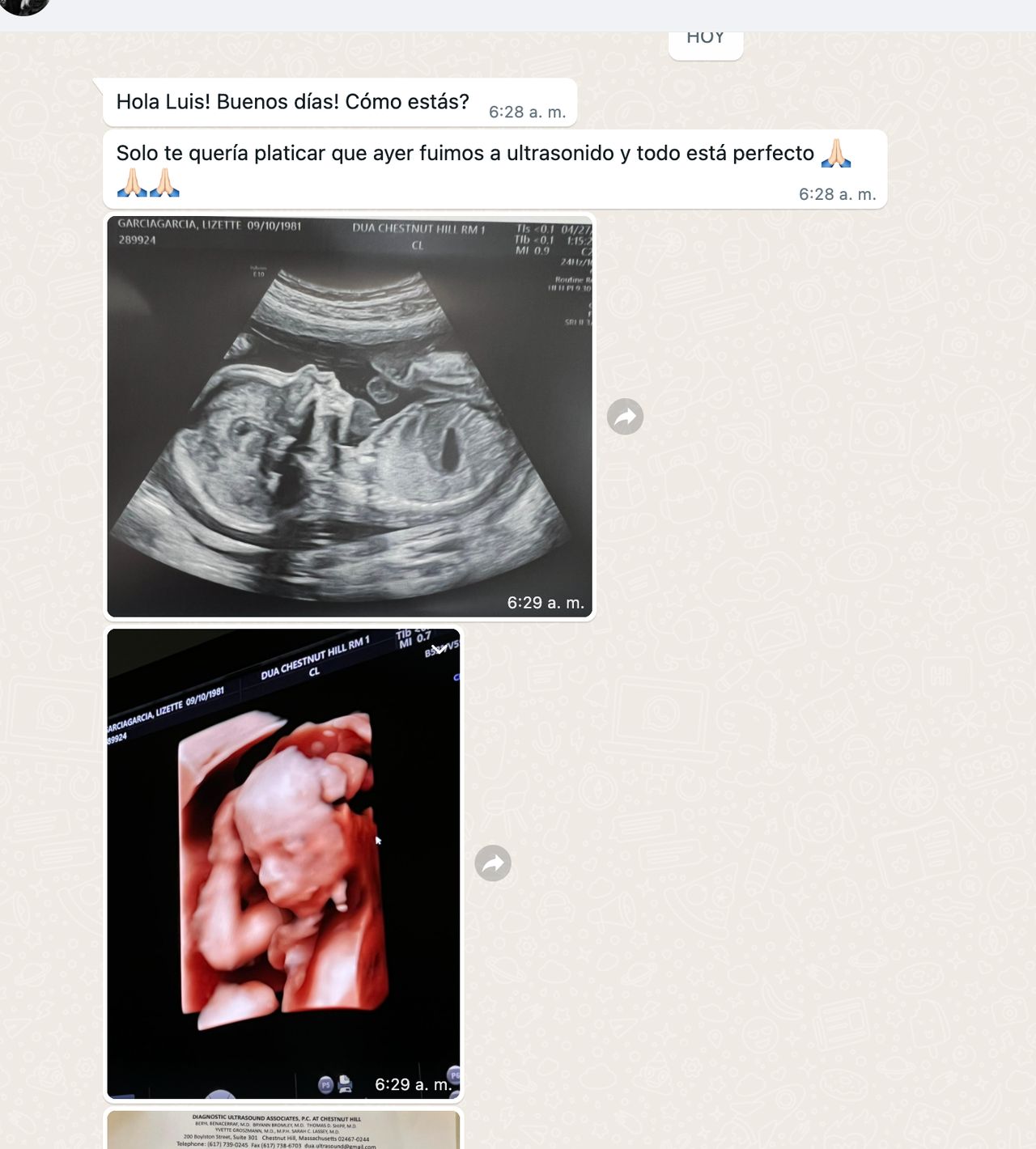 Luis Miguel Campos Olmedo-5