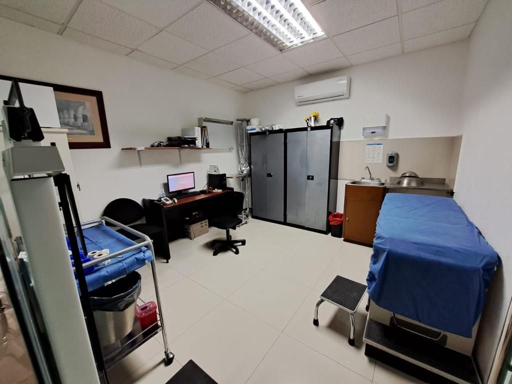 Maximiliano Cruz Palacios-2