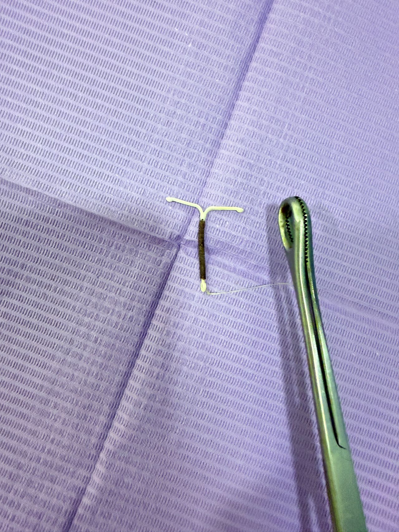 Natalia Cerda Corona-113