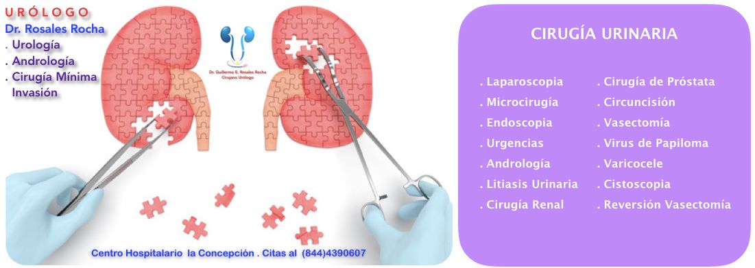 Guillermo Enrique Rosales Rocha-1