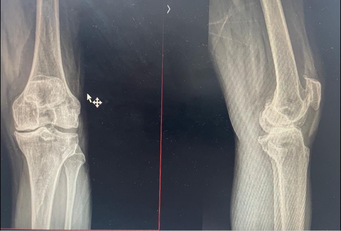 Felix Alfaro Arias-41