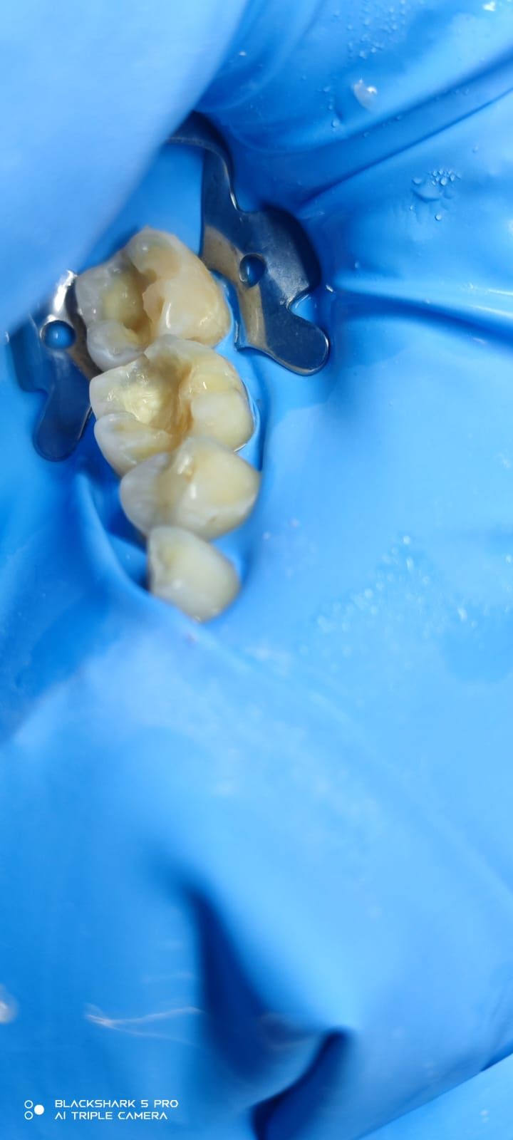 Jonathan Manuel Morán Castell-21