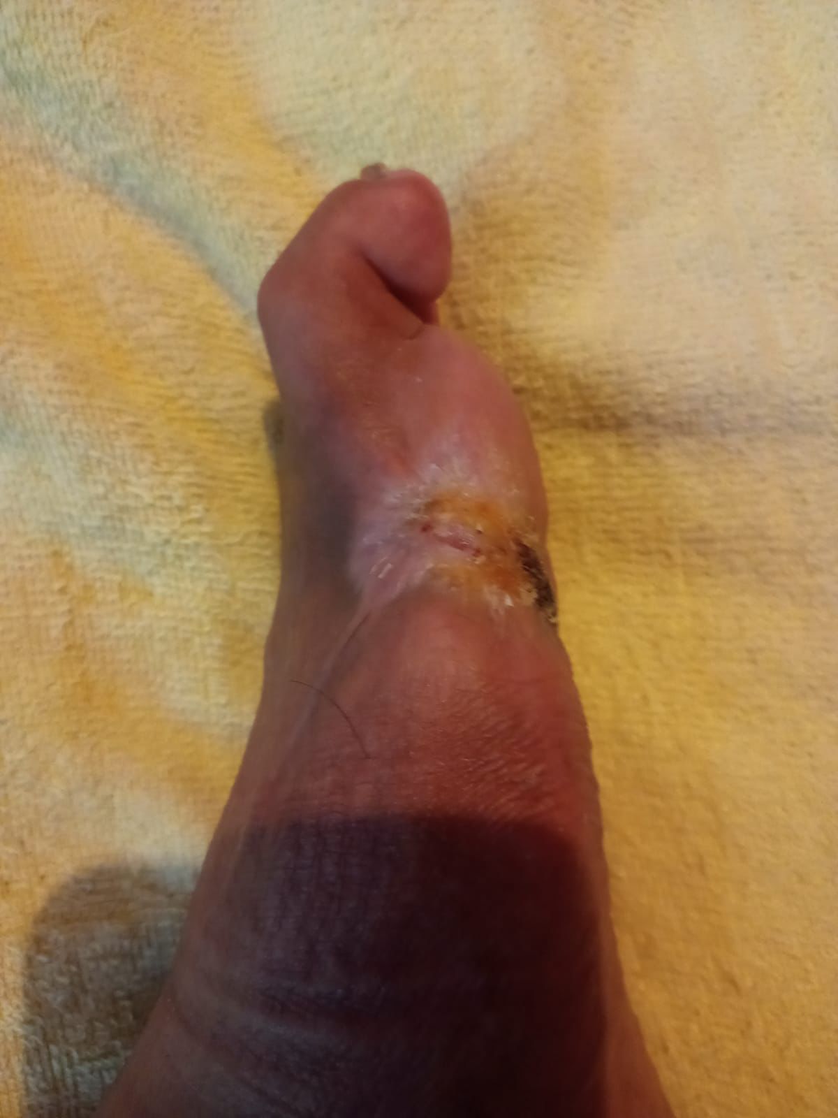 Lizette Rivera Peregrina-7