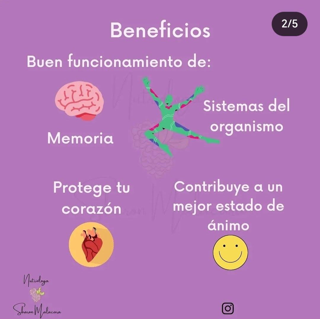 Sharon Noemi Malacara Rico-9