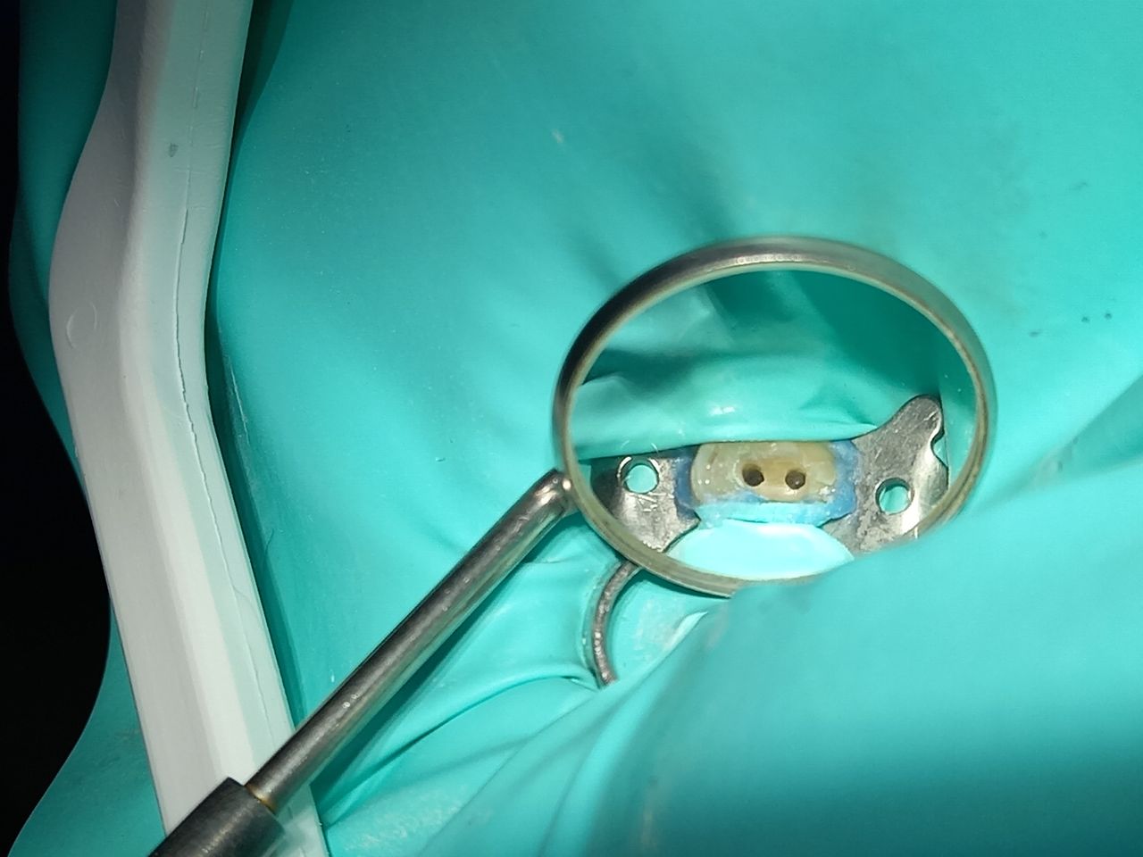 Karla I. Martinez Sosa-34