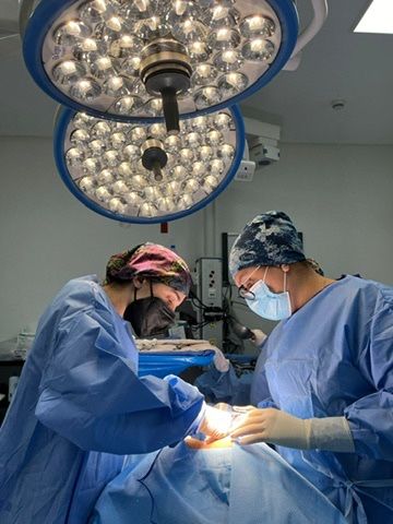 Lilia Dávila Ortiz-2