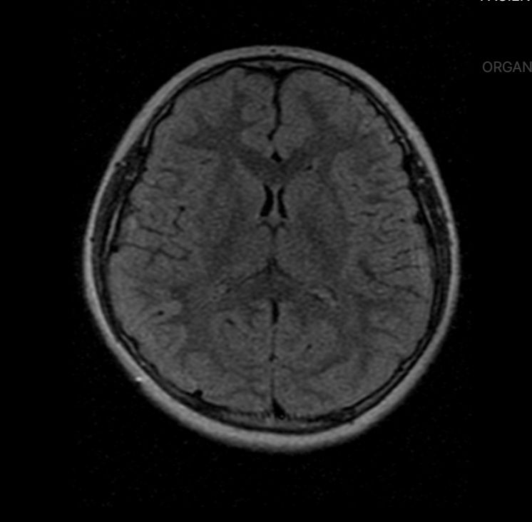 Adrian Estrada Campos-14