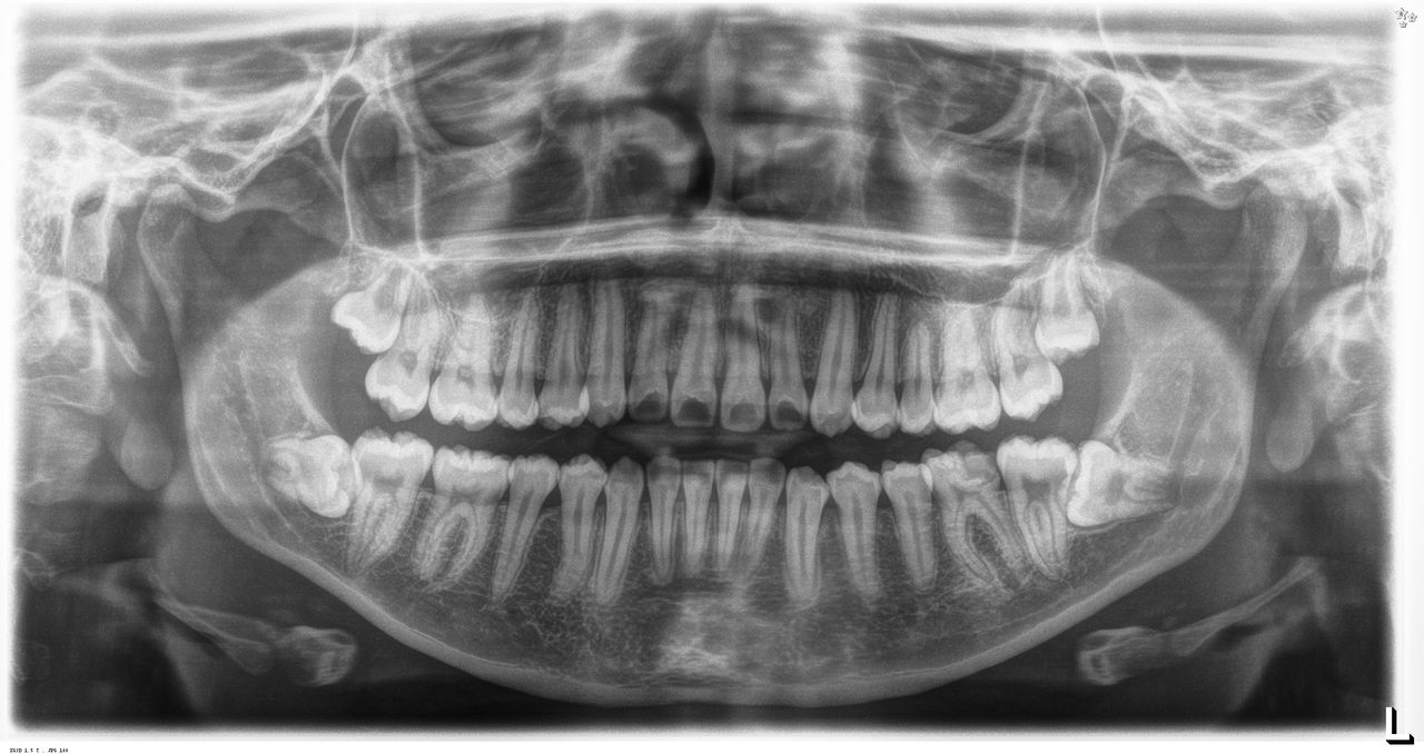 Sergio Cortes Aroche-7