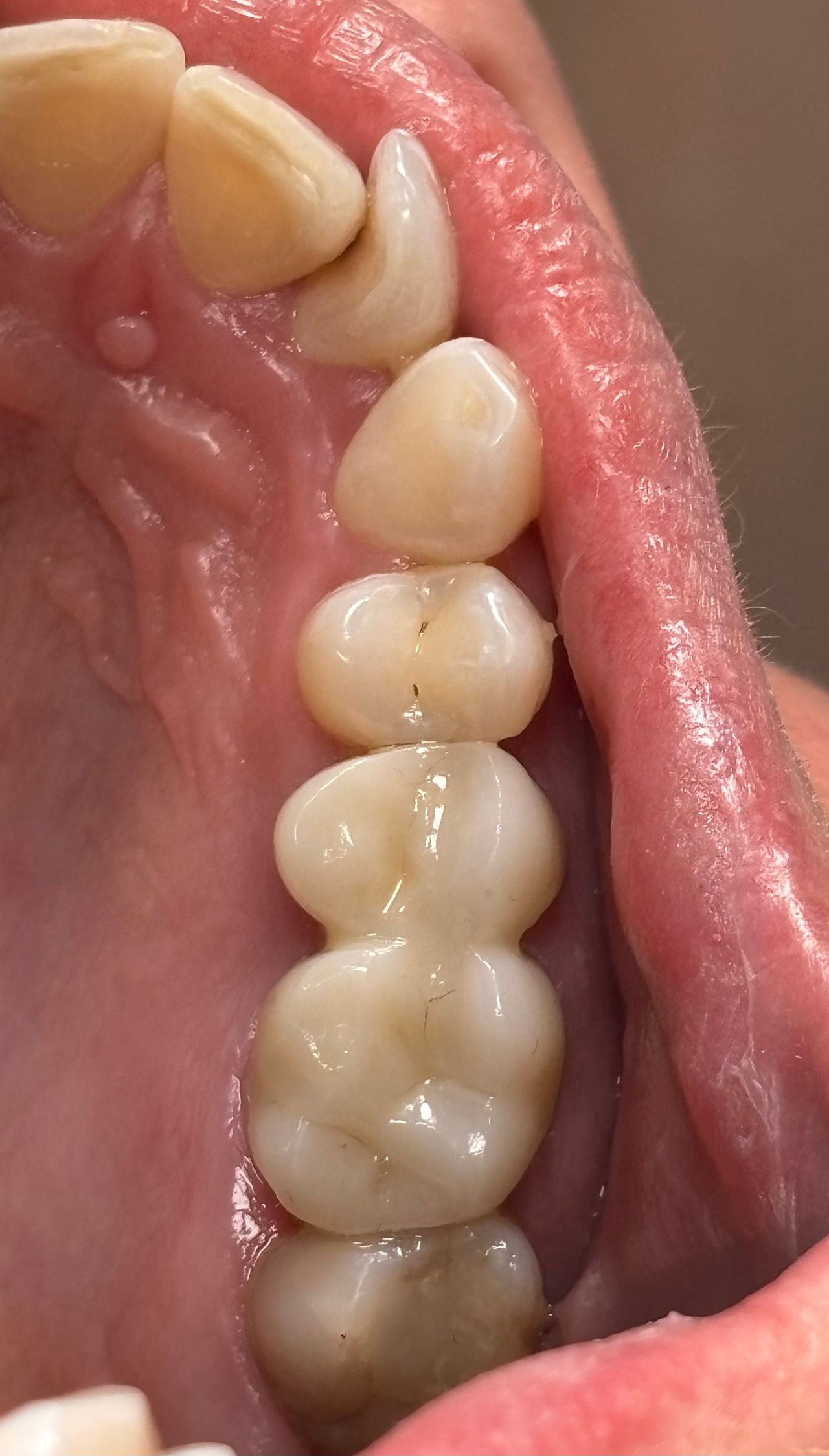 María Paula  Flores Novoa-12