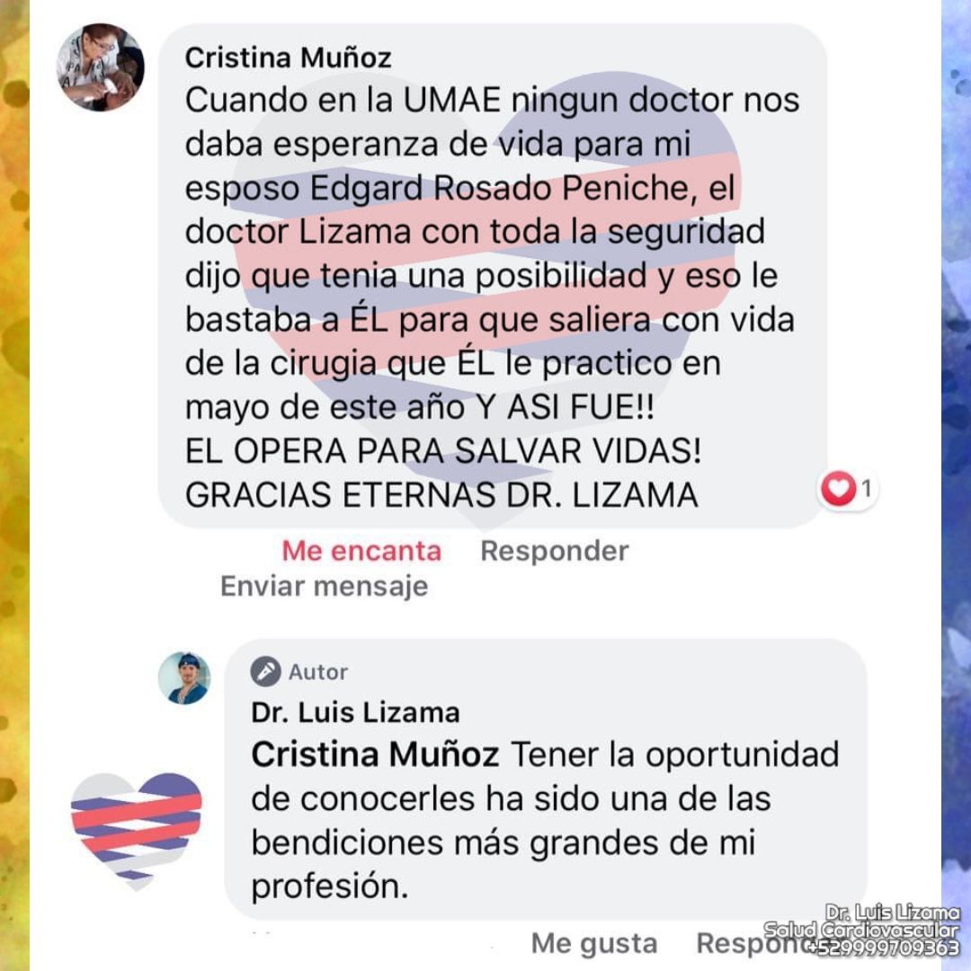 Luis Daniel Lizama Rodrí­guez-20