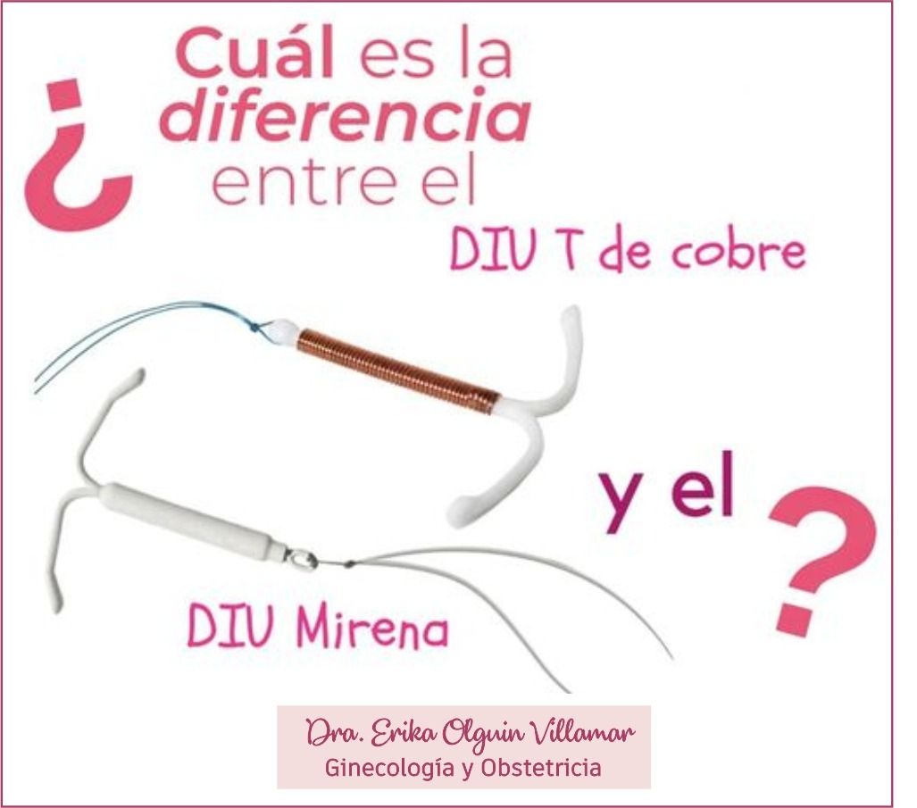 Erika Olguín Villamar-22