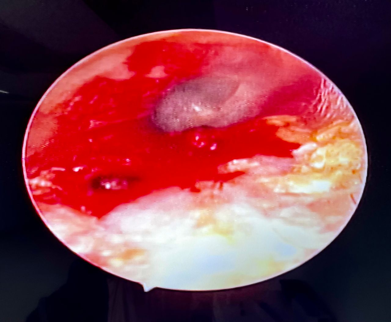 Rogelio Hernández García-76