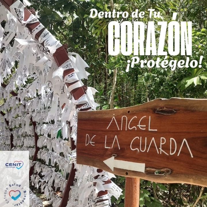 David Arturo Castán Flores-6