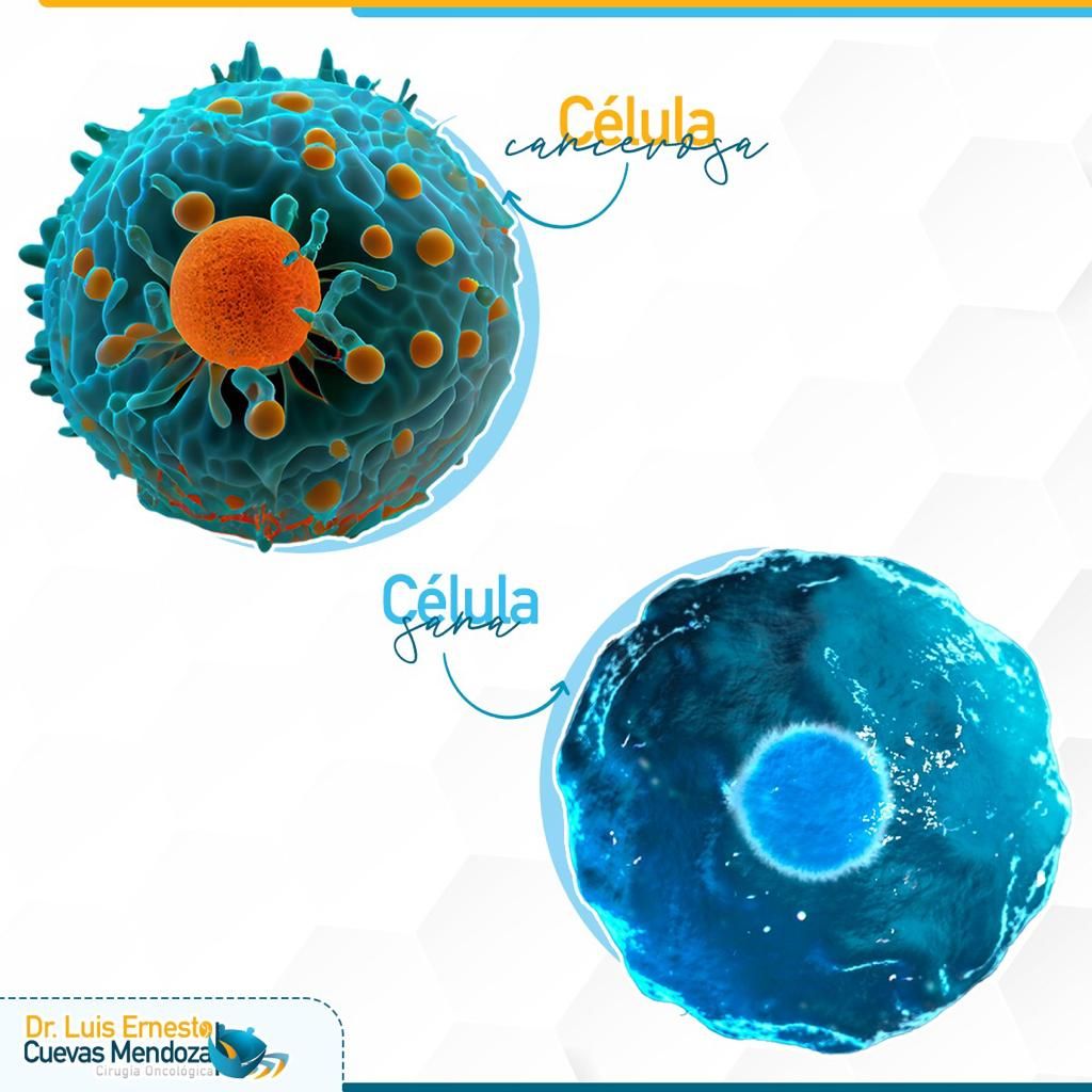 Luis Ernesto Cuevas Mendoza-271