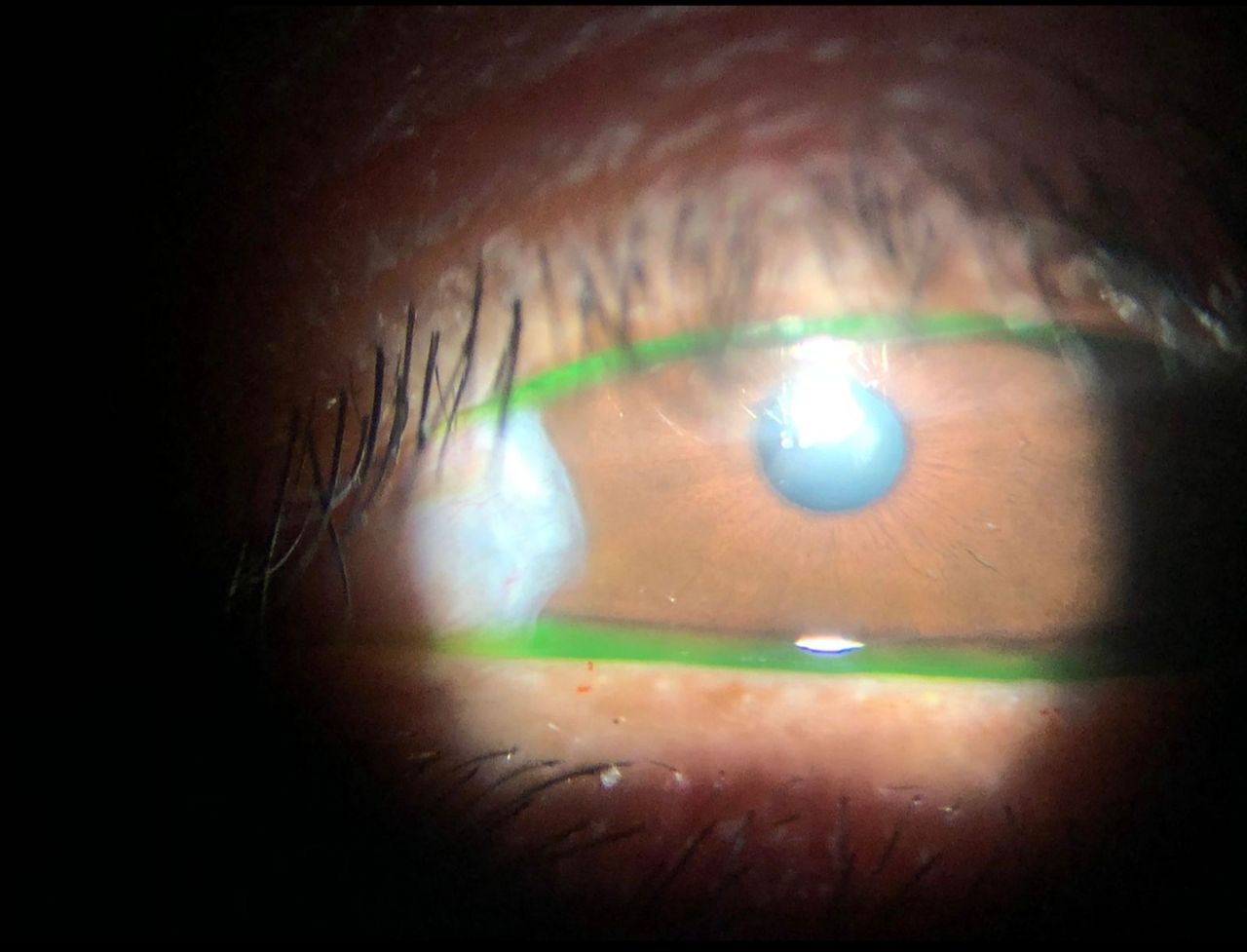 Brenda Sánchez Laguna-12