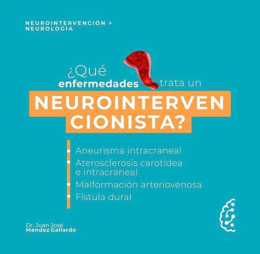 Juan José Méndez Gallardo-1